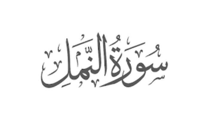Sourate An-Naml