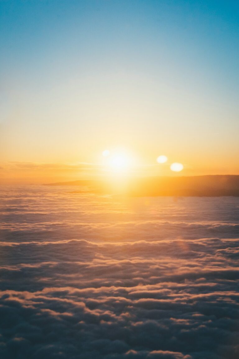 Lire la suite à propos de l’article La gratitude, un état d’esprit